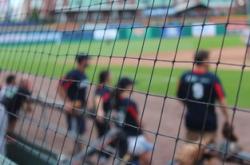 网球赛场焦点！荷兰队对阵葡萄牙队，年轻新星表现惊艳，未来可期