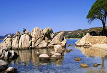 关于瓦伦西亚球员集体亮眼：全力拼搏，赢得掌声的信息